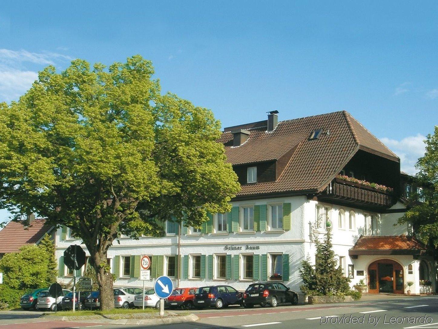 Flair Hotel Gruener Baum Донауэшинген Экстерьер фото